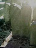 image of grave number 384242